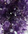 Dark Purple Amethyst Cluster On Wood Base #57199-1